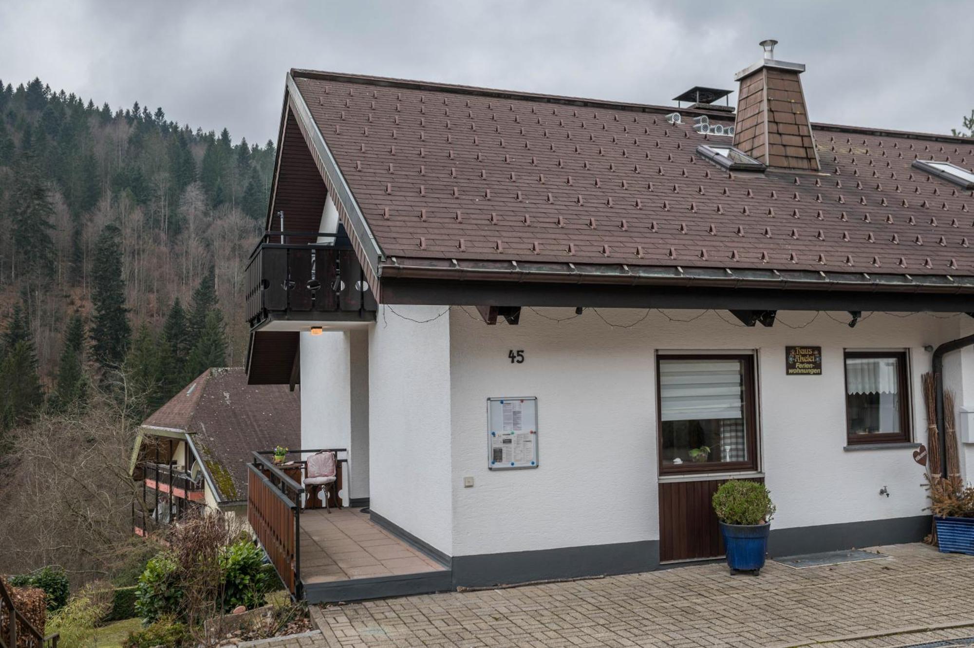 Haus Akelei Apartment Todtmoos Luaran gambar