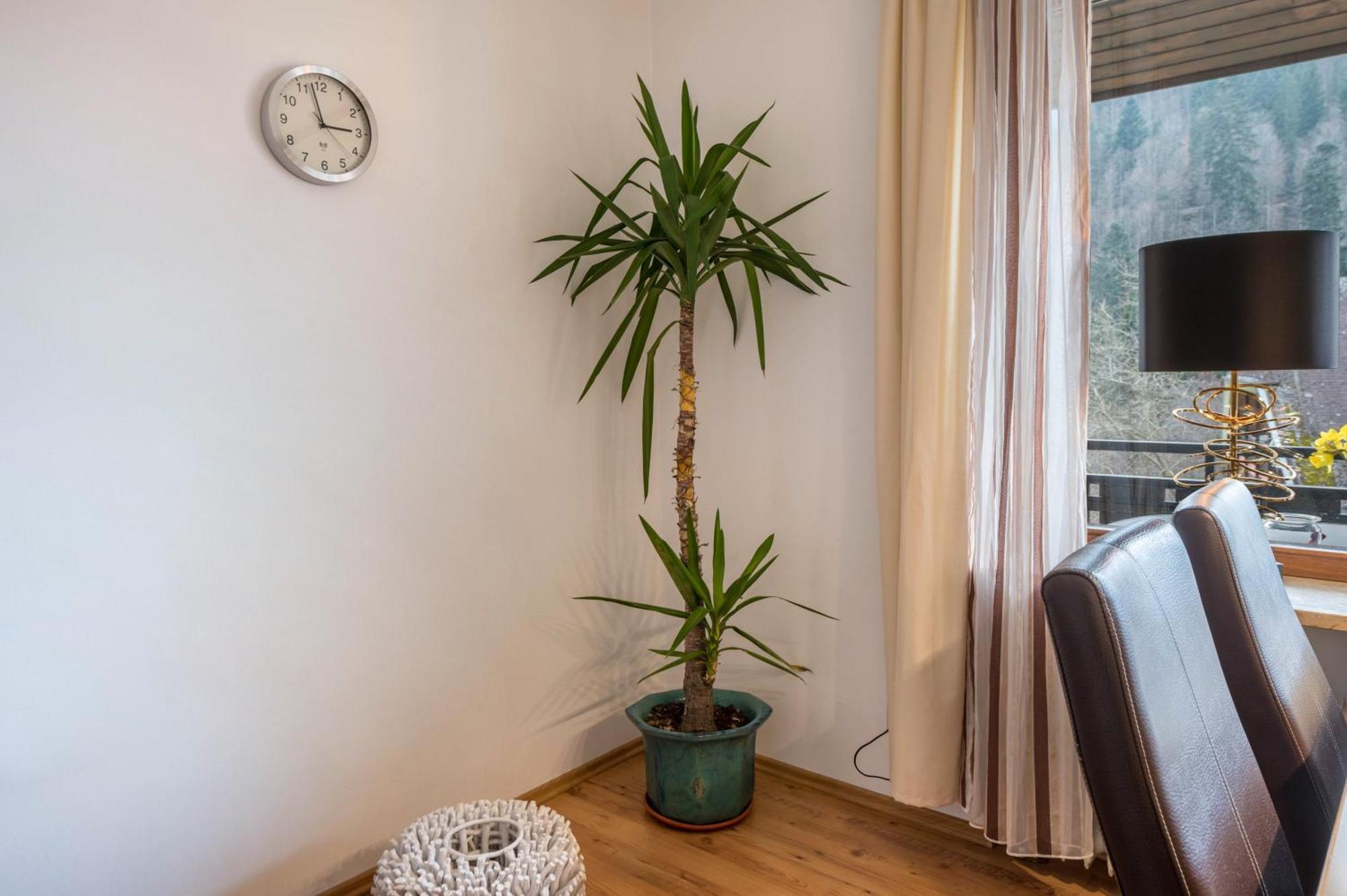 Haus Akelei Apartment Todtmoos Luaran gambar